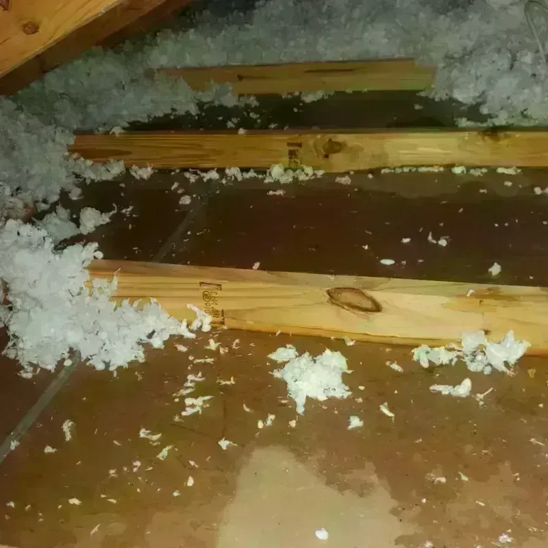 Attic Water Damage in East Palestine, OH